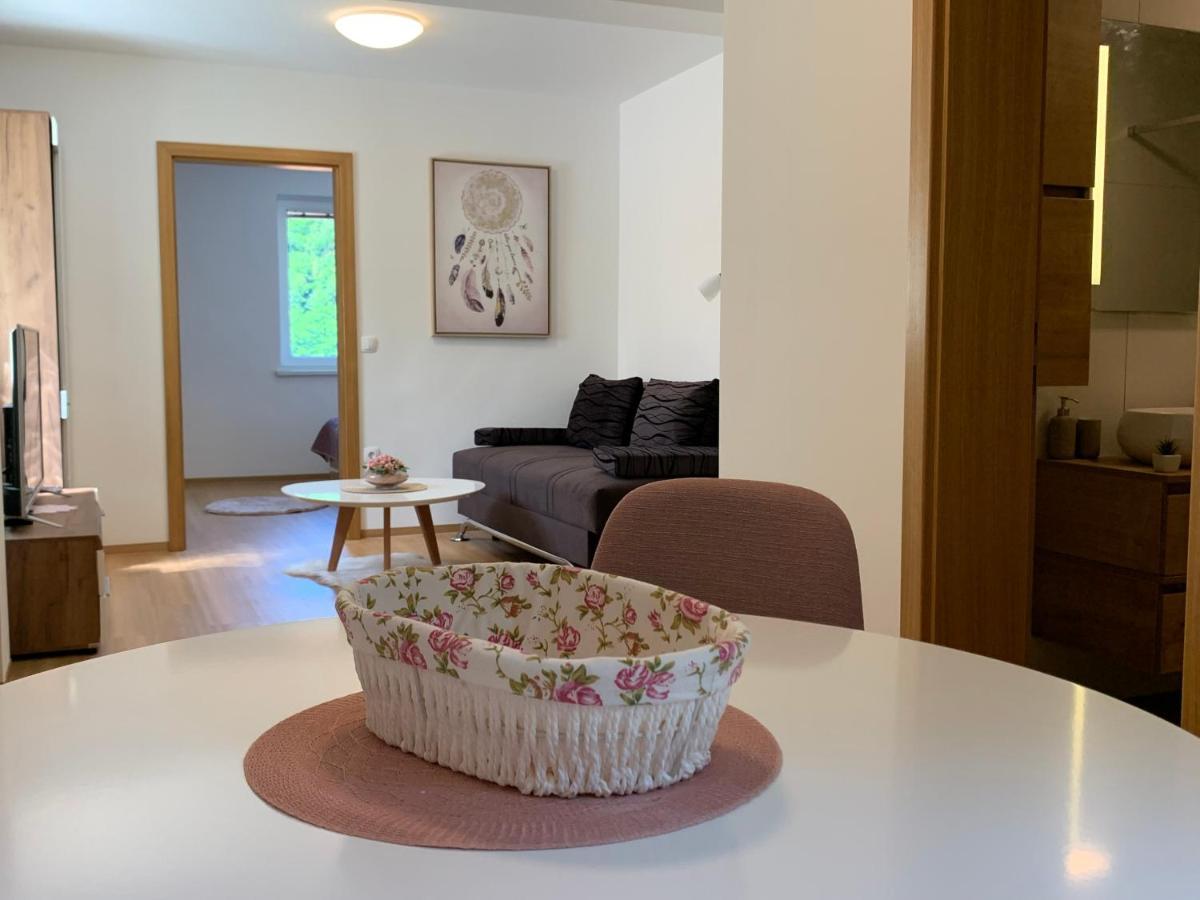 Apartmaji Pr' Nas 洛什科 外观 照片