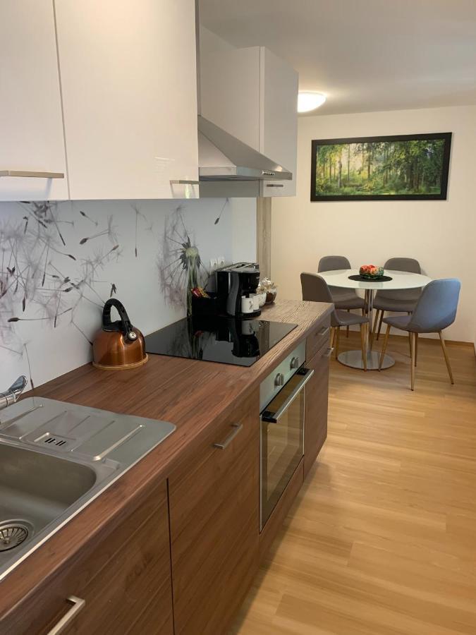 Apartmaji Pr' Nas 洛什科 外观 照片